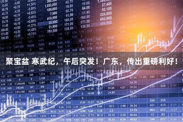 聚宝盆 寒武纪，午后突发！广东，传出重磅利好！