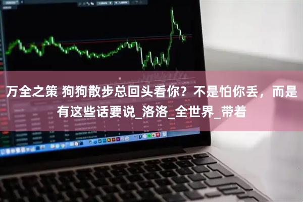 万全之策 狗狗散步总回头看你？不是怕你丢，而是有这些话要说_洛洛_全世界_带着