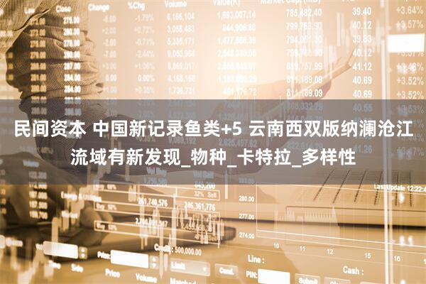 民间资本 中国新记录鱼类+5 云南西双版纳澜沧江流域有新发现_物种_卡特拉_多样性