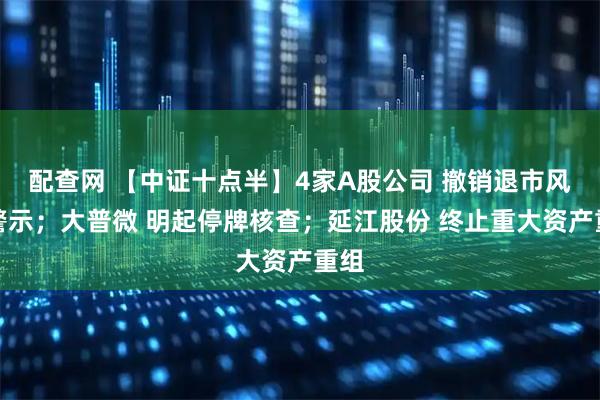 配查网 【中证十点半】4家A股公司 撤销退市风险警示；大普微 明起停牌核查；延江股份 终止重大资产重组